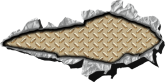 Chapa 125