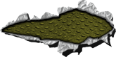 Chapa 126