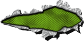 Chapa 127