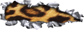 Chapa Rasgada 5_2