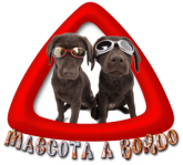 Mascota a Bordo 07