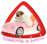 Mascota a Bordo 31