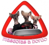 Mascota a Bordo 32