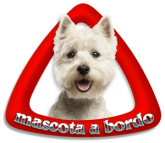Mascota a Bordo 35