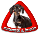 Mascota a Bordo 37