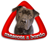 Mascota a Bordo 46