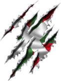 RAS_Euskadi