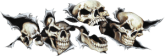 Ras_Calaveras_3