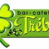 logotipo_trebol