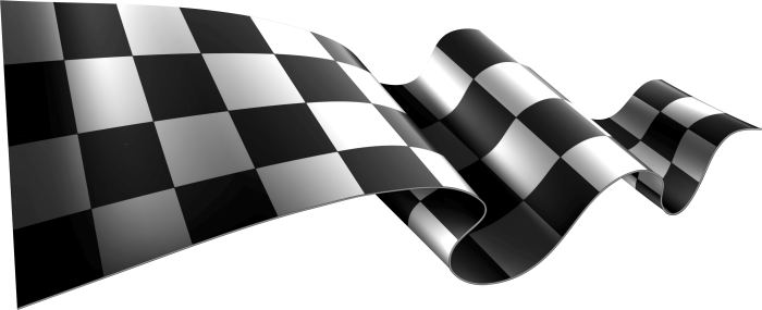 Bandera ford motorsport #2