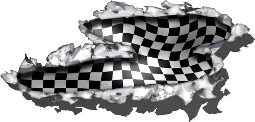 Bandera ford motorsport #6